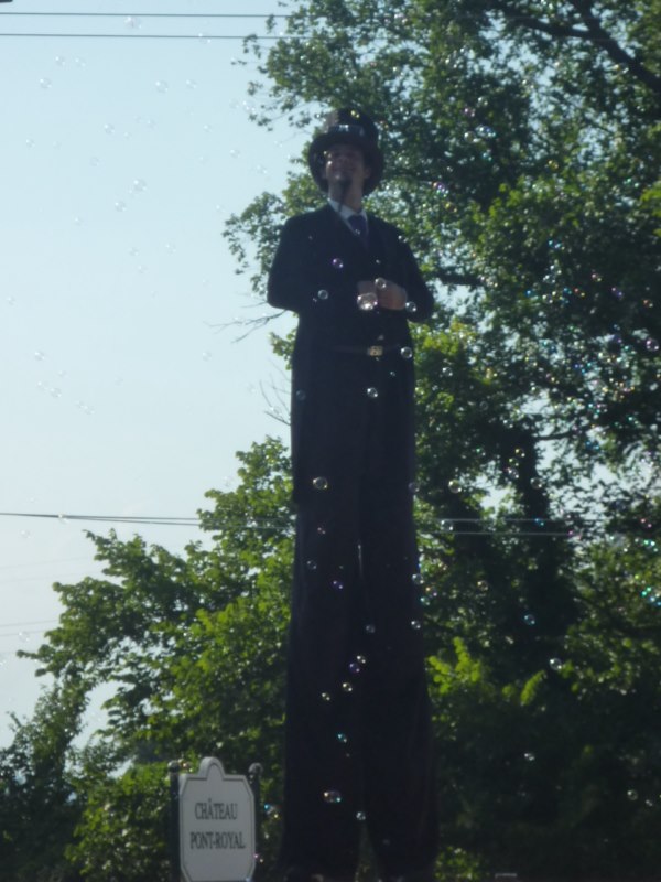 Animations pour l'accueil au Château Pont Royal